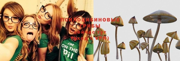 гидра Ахтубинск