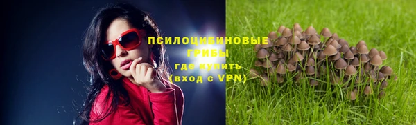 a pvp Бородино
